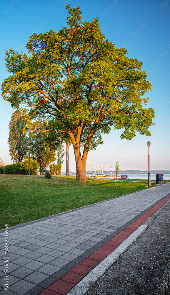 City park in the morning at lake Balaton