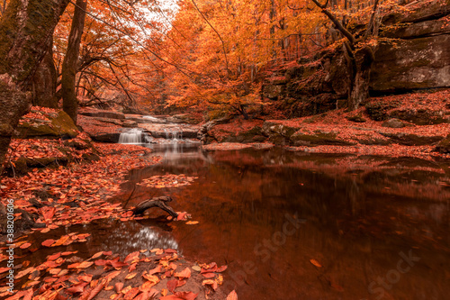 Orange colors in autumn forest. Bursa  Suu  tu waterfall