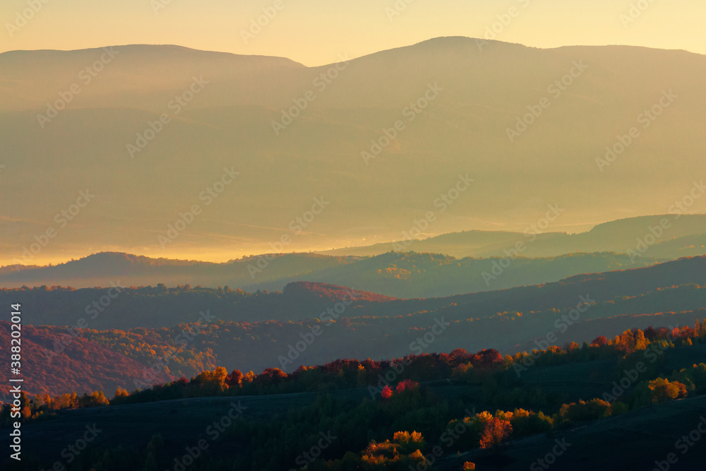 misty sunrise in mountains. wonderful autumn weather. beautiful nature scenery observed from the top of a hill. trees in colorful fall foliage. fog glowing in the distant valley