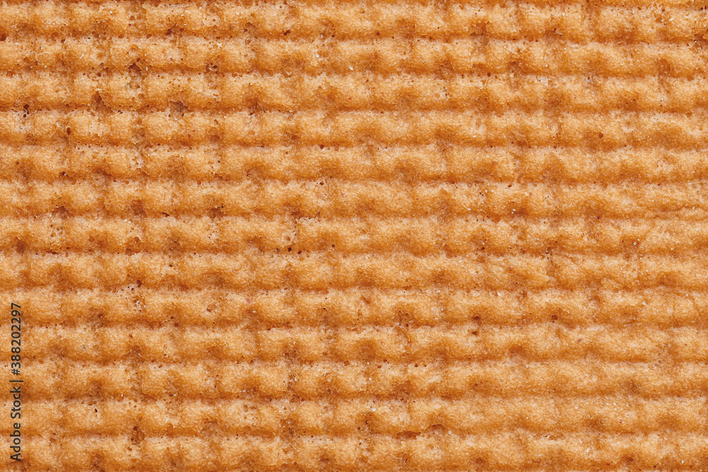 Texture of tasty gingerbread cookie, closeup Texture of tasty gingerbread cookie, closeup