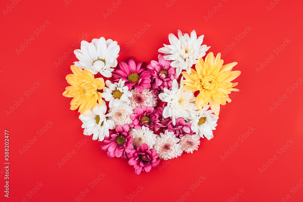 Beautiful mix of different flowers laid out in the shape of a heart on a red background, free space for text, advertising a healthy lifestyle Beautiful mix of different flowers laid out in the shape of a heart on a red background, free space for text, advertising a healthy lifestyle