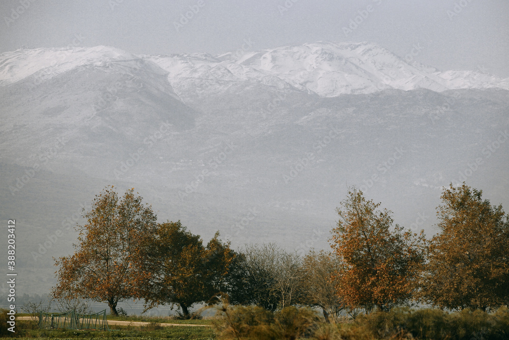 misty morning in the mountains misty morning in the mountains