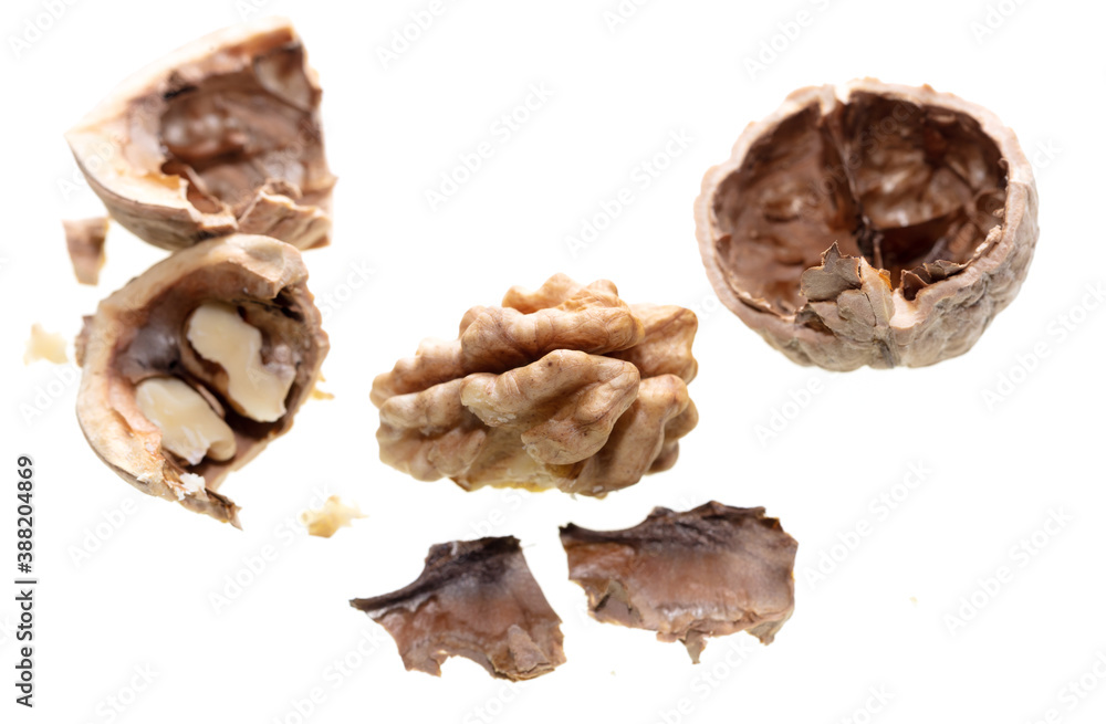 The kernel of a split walnut is isolated on a white The kernel of a split walnut is isolated on a white