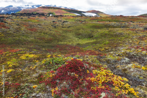 Kamchatka, colors of autumn tundra in the area of Gorely volcano