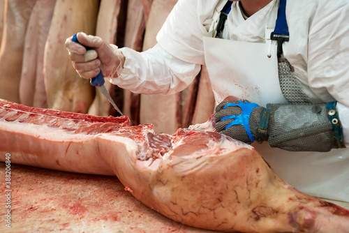 Obraz na plátně Butcher cuts freshly slaughtered meat of pork for sale and further processing as