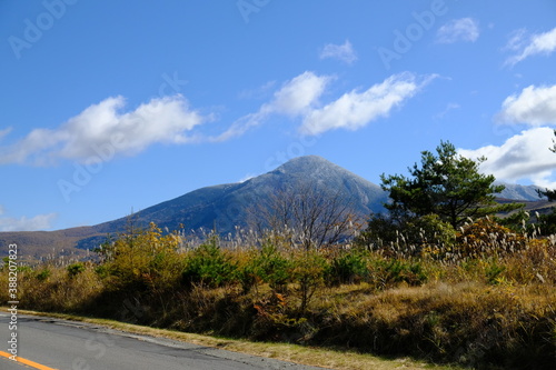 自然の風景