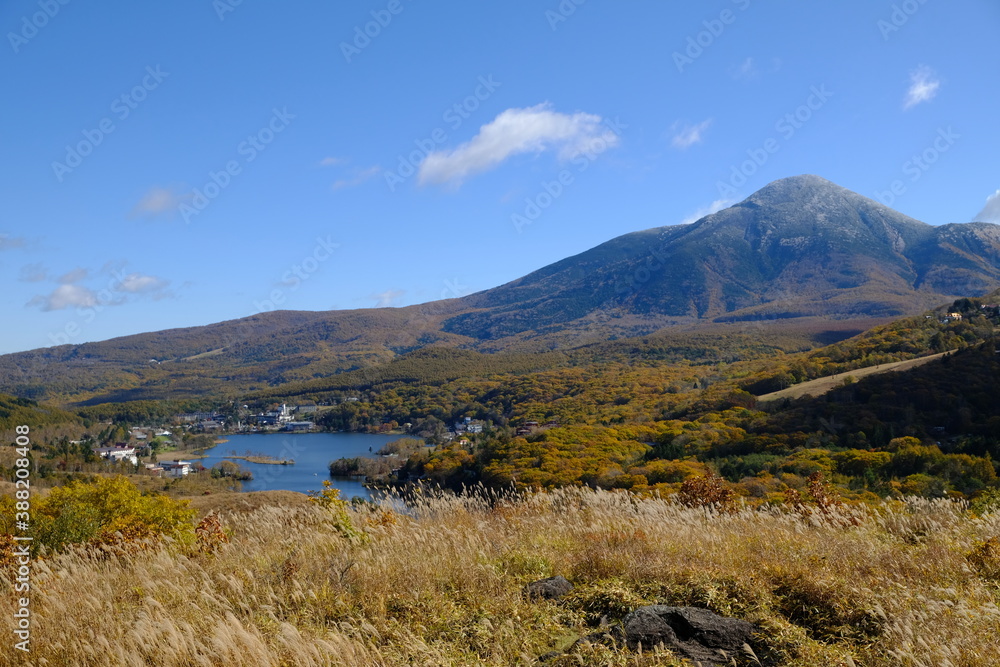 自然の風景 自然の風景