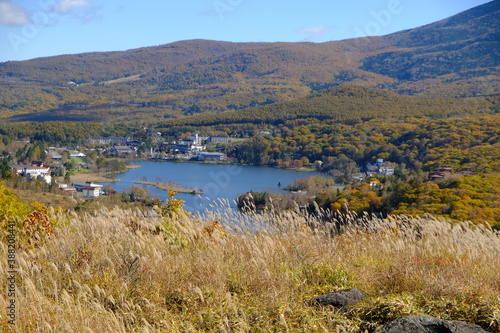 自然の風景