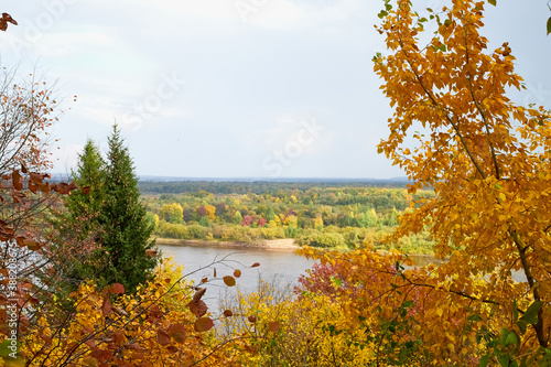 Autumn landscape with top view on the river through branches of trees with yellow leaves in autumn day