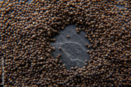 dry poppy on a black background dry poppy heads. Dry poppy heads on a black background. Poppy head and seeds are scattered.