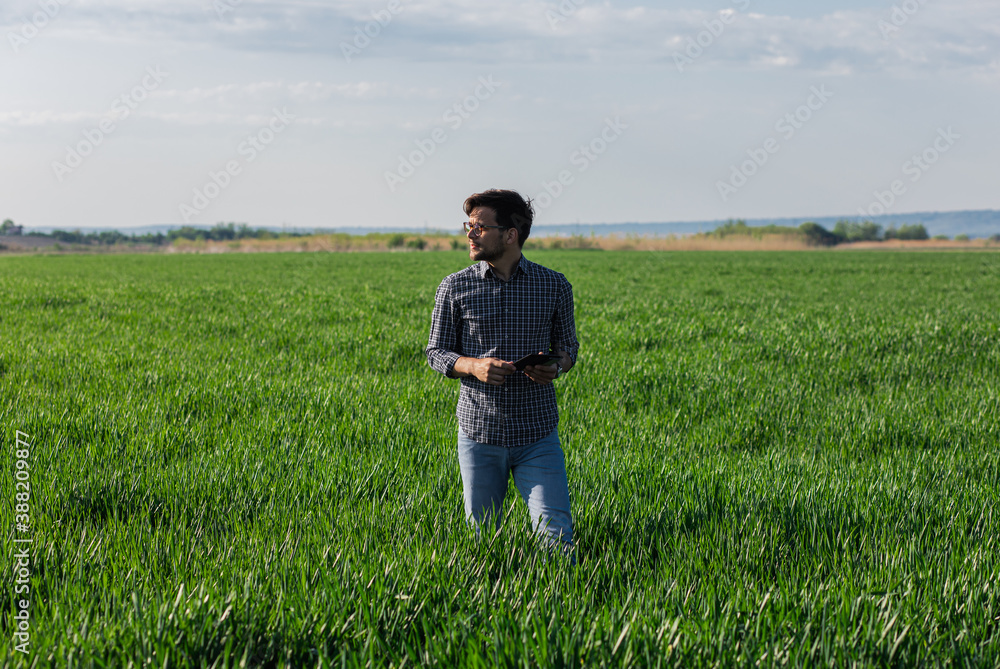 Portrait of farmer standing in young wheat field holding tablet in his hands and examining crop. Portrait of farmer standing in young wheat field holding tablet in his hands and examining crop.