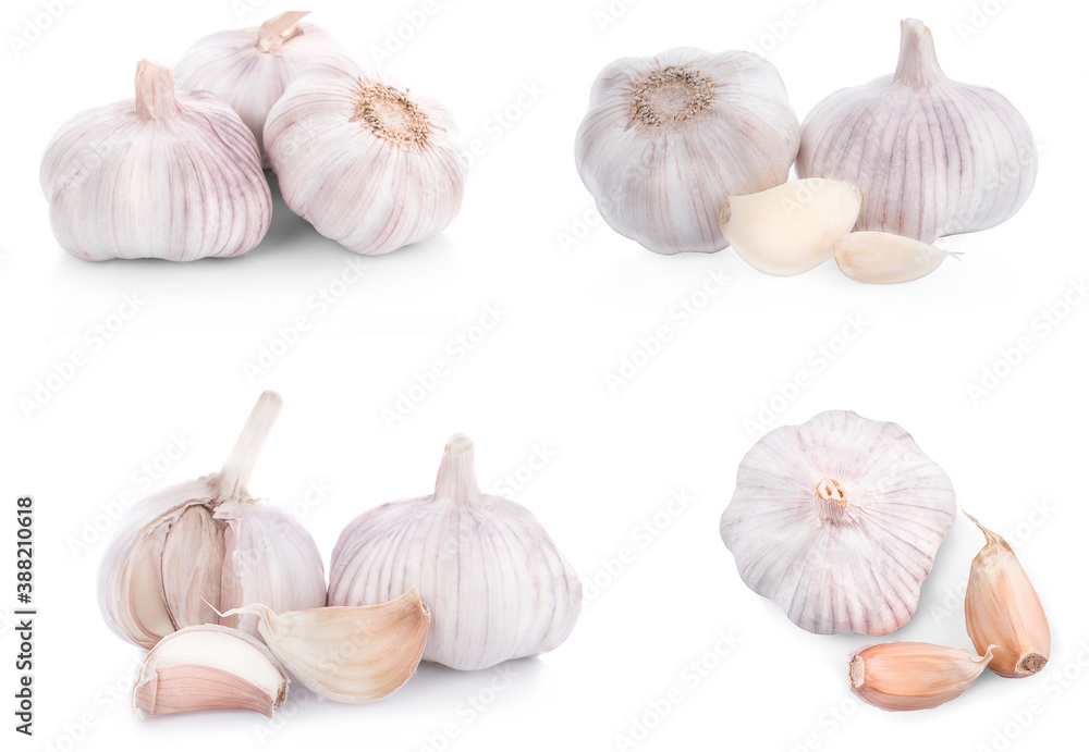 Garlic isolated on white background Garlic isolated on white background