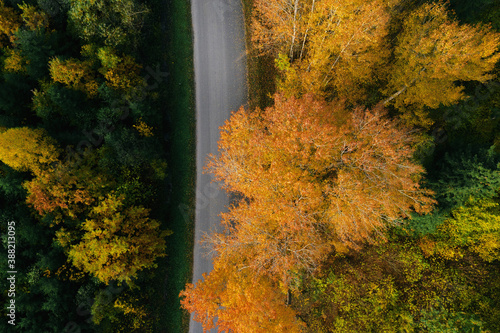 Aerial view of the road passing through the colorful autumn forest