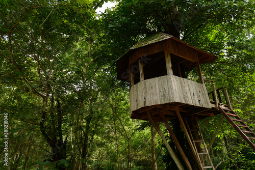 A wooden watchtower in the forest. © ULTRAPOK