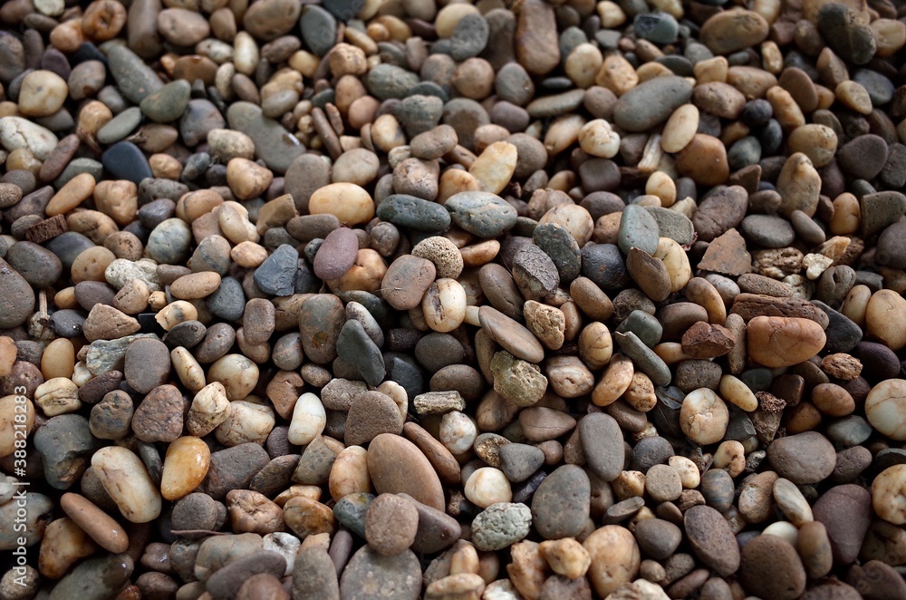 Various shapes and color small pebbles stone on ground