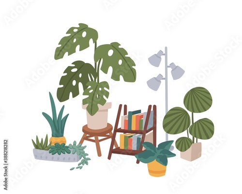 Cozy home decor. Different potted houseplants, bookshelf and a lamp. Hygge homely composition with monstera, sansevieria, succulents and other plants. Vector illustration in flat cartoon style