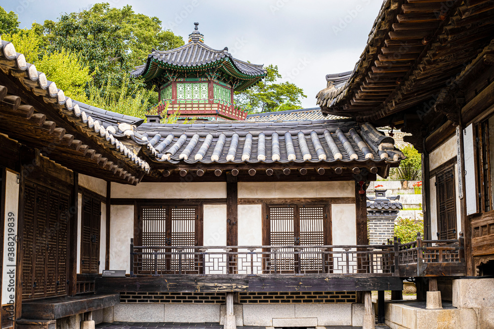 Fototapeta premium traditional beauty of korea 12