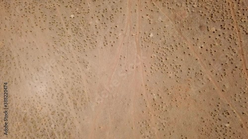Desert landscape. Dirt road that crosses a desert. Aerial view