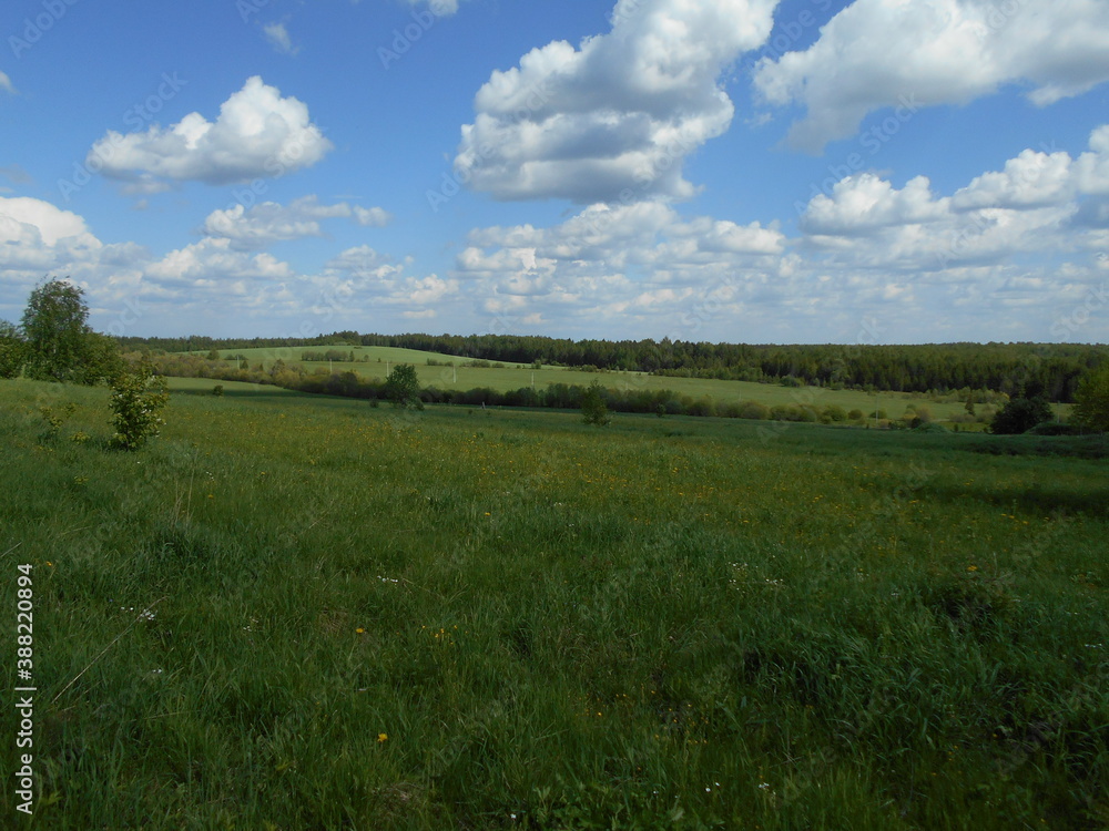 field and blue sky