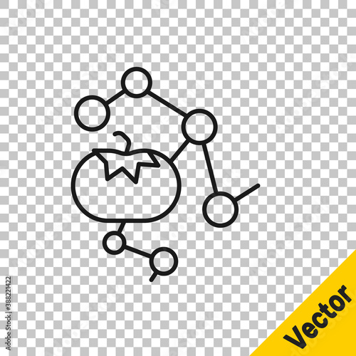 Black line Genetically modified food icon isolated on transparent background. GMO fruit. Vector.