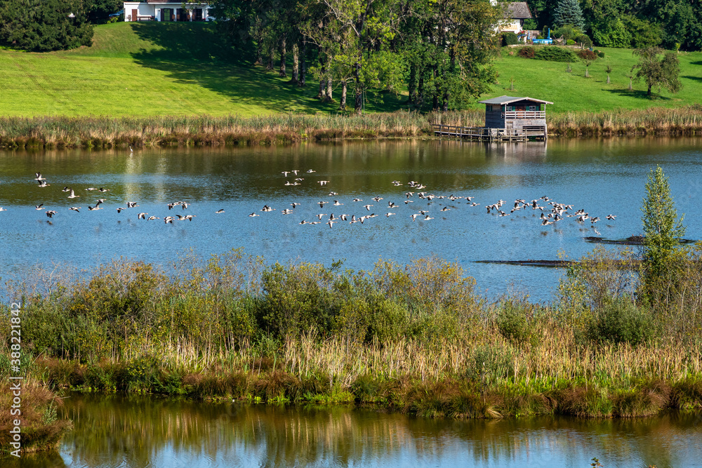 Lake and Nature Protection Area Egglburger See near Ebersberg, Bavaria, Germany Lake and Nature Protection Area Egglburger See near Ebersberg, Bavaria, Germany