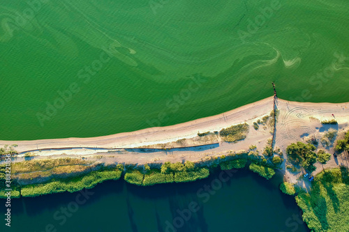 Canvas Print Algae bloom season