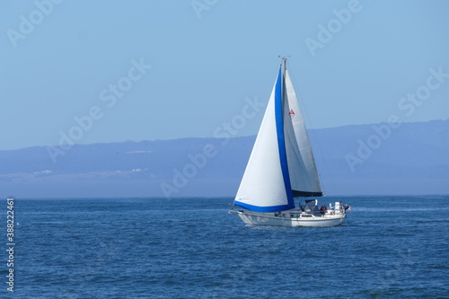 Sailing © Cosette