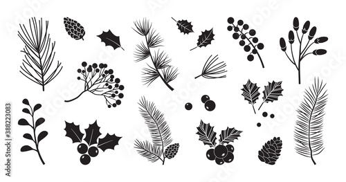 Christmas vector plants, holly berry, christmas tree, pine, leaves branches, holiday decoration, winter symbols isolated on white background. Black silhouettes. Vintage nature illustration