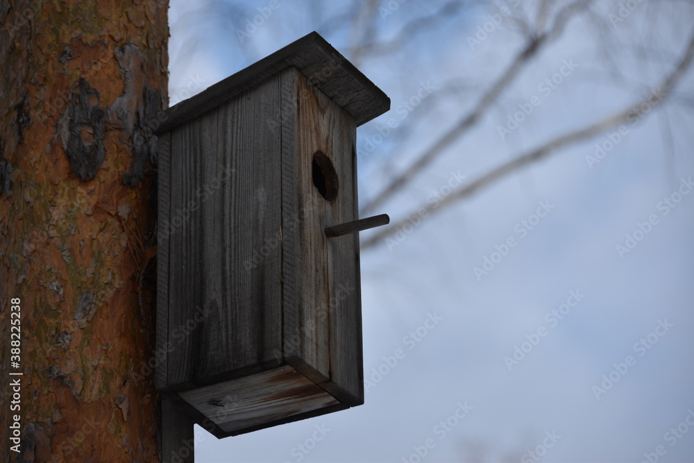 A handmade wooden bird feeder hangs on a pine tree.