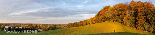 Panorama of a green field with an autumn forest in the background