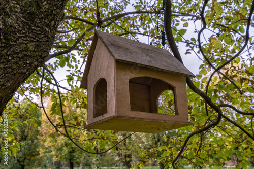 House bird feeder in Park. People bring and pour grains and nuts for the birds. © larisa_stock