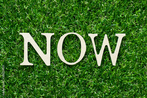 Wood alphabet letter in word now on green grass background