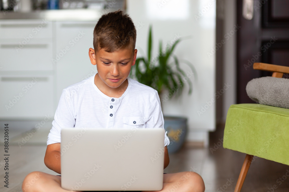 Smiling boy using laptop in the living room. Smiling boy using laptop in the living room.