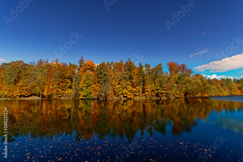 Goldener Herbst Pfaffensee / Bärensee Stuttgart. Sonniger Herbst Schöne Natur 