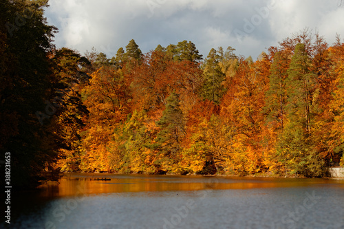 Goldener Herbst Pfaffensee   B  rensee Stuttgart. Sonniger Herbst Sch  ne Natur  