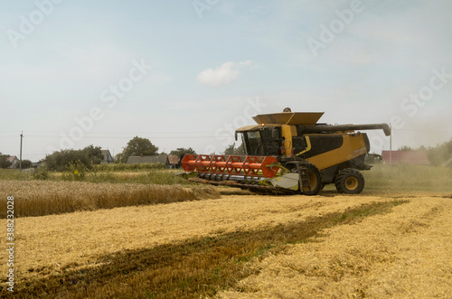 Combine harvester agriculture machine harvesting golden ripe wheat field. Agriculture. Combine harvester harvesting wheat with dust straw in the air. Heagy agricultural machinery.