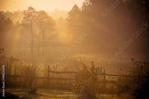 misty morning sunrise over the meadow