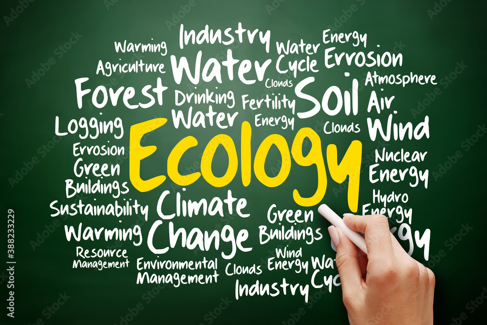 Ecology word cloud collage, green ecology concept on blackboard Ecology word cloud collage, green ecology concept on blackboard