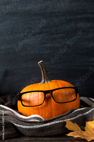 Pumpkin with glasses in a scarf, halloween concept, on table, on a background of chalkboard. Template concept of autumn mood. Copy space.