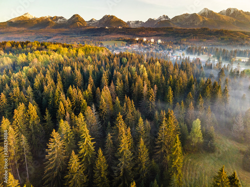 Beautiful Morning in High Tatras Mountains. Mist Over Fall Foliage. Aerial Drone View