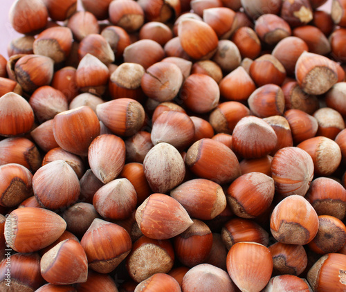 Hazelnuts of Black sea region harvested in summer

