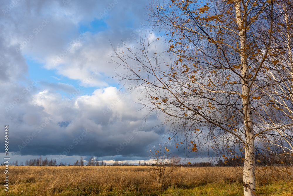 Dirt road stretching into the distance, the sky with thunderclouds Dirt road stretching into the distance, the sky with thunderclouds