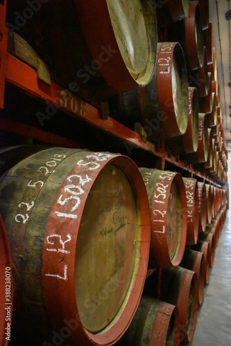 Wooden barrels where alcoholic beverages are kept so that they age.