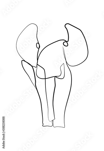 SINGLE-LINE DRAWING OF AN ELEPHANT. This hand-drawn, continuous, line illustration is part of a collection of artworks inspired by the drawings of Picasso. Each gesture sketch was created by hand.