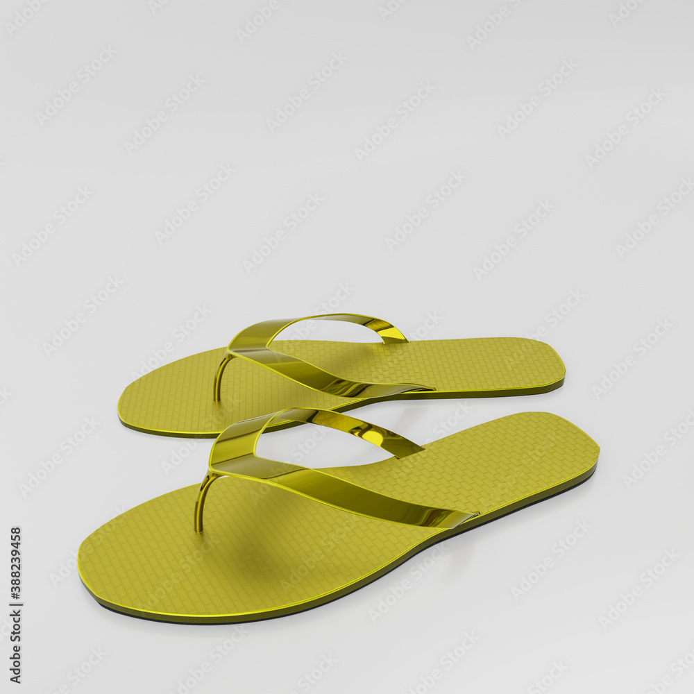 flip flop isolated on white background flip flop isolated on white background
