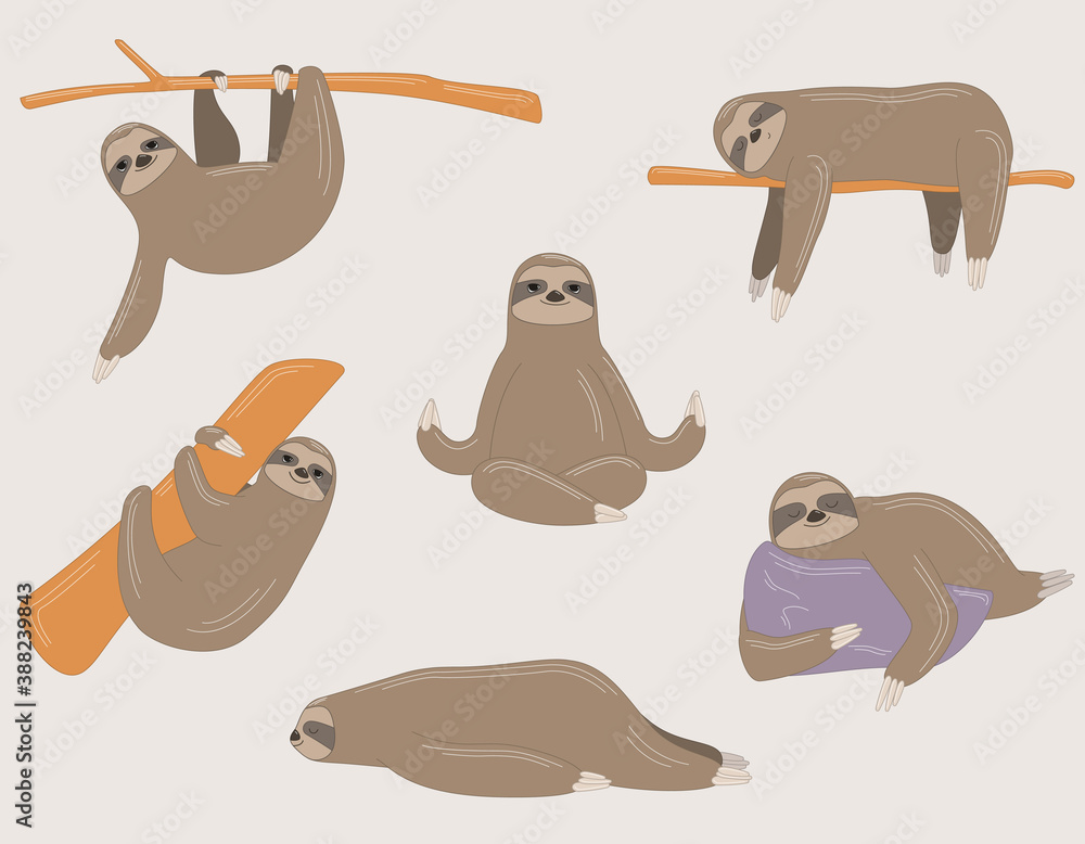 Fototapeta premium Sloth in different poses. Lazy animal in linear cartoon style.