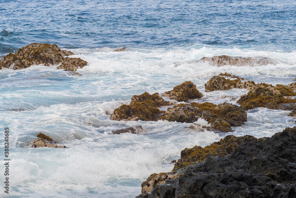 Fototapeta premium Rocks in the waves