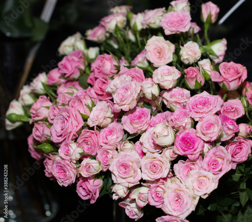 pink roses on the counter of the store. Flower trade  private business  losses  loss of customers  switching to contactless delivery. The rise in price of flowers  an armful of roses