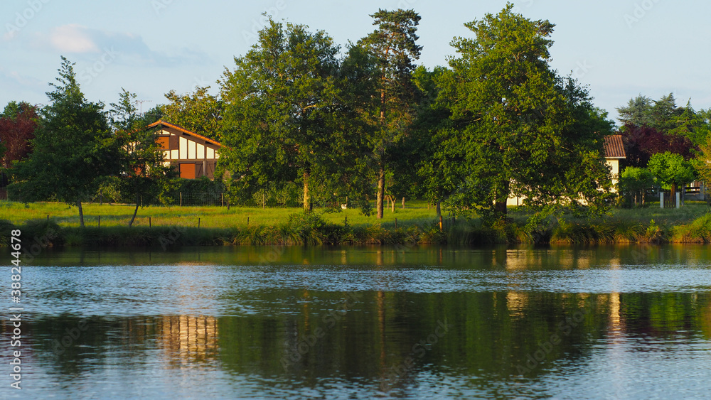 Lumières radiantes et ambiance romantique aux abords d'un petit étang, dans les Landes de Gascogne