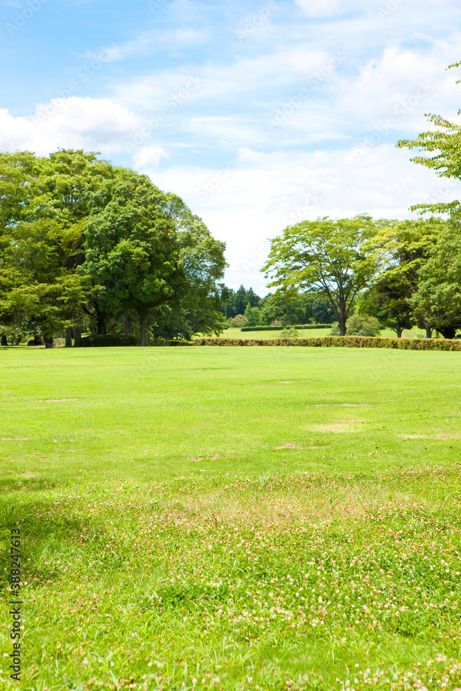 Naklejka premium 公園